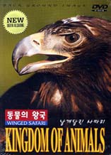 DVD]Kingdom Of Animals: Winged Safari / DVD]동물의왕국: 날개달린 사파리