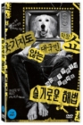 DVD]SAGE SOLUTIONS  (1disc)  / DVD]슬기로운해법 (1disc) 
