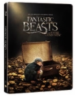 Blu-Ray]Fantastic Beasts and Where to Find Them  Steelbook Limited Edition (2disc: 3D+2D)  / Blu-Ray]신비한 동물사전 : 스틸북 한정판 (2disc: 3D+2D) 