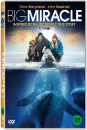 DVD]Big Miracle (1disc)  / DVD]빅 미라클 (1disc) 