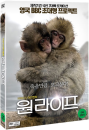 DVD]One Life / DVD]원라이프 (KD2013)