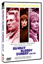 DVD]Sunday Bloody Sunday / DVD]사랑의 여로 (1disc) 