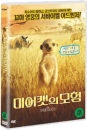 DVD]The Meerkats / DVD]미어캣의 모험