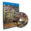 Blu-Ray]EBS / Blu-Ray]EBS 흙