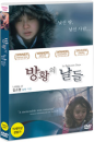 DVD]In Between Days / DVD]방황의 날들