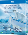 Blu-Ray]Tears In The Arctic + OST / Blu-Ray]북극의 눈물 극장판 초회한정판 + OST