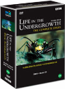 DVD]BBC Life in the Undergrowth (5disc)+OST / DVD]BBC 다큐멘터리 - 살아있는 곤충의 세계 박스세트 + OST