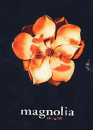 DVD]Magnolia SE / DVD]매그놀리아 (번들용)