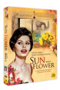 DVD]Sunflower (aka:I girasoli) / DVD]해바라기 (1disc) (I girasoli)