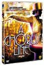 DVD]A Chorus Line, 1985 / DVD]코러스 라인 (1disc)(New Media)