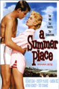 DVD]A Summer Place / DVD]피서지에서 생긴 일