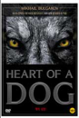 DVD]HEART OF A DOG / DVD]개의 심장 (1disc)