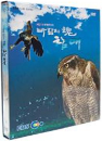 DVD] / DVD]바람의 魂(혼) 참매 [HD 다큐멘터리]