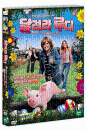 DVD] / DVD]달려라 루디 (1disc)