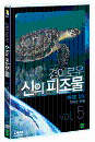 DVD] / DVD]경이로운 신의 피조물 Vol.5 - 애니멀 킹덤 [위대한 역사]