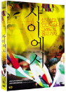 DVD]Between / DVD]사이에서