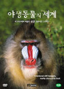 DVD] / DVD]야생동물의 세계 Vol.2 (3disc)