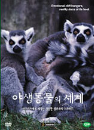 DVD] / DVD]야생동물의 세계 Vol.4 (3disc)