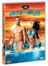 DVD]Into The Blue / DVD]블루 스톰 (sony201004)