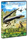 DVD]The Quest for Dragons / DVD]퀘스트 포 드래곤