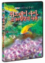 DVD] / DVD]쥐노래미 아비 : 그 60일간의 사투 (MBC 자연다큐멘터리)(SS2010)