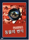 DVD]Popagation of an Animal : Copulation (2disc / DVD]동물의 번식 : 동물의 쌍붙기 (2disc)