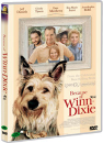 DVD]Because of Winn-Dixie / DVD]웨인 왕의 윈-딕시