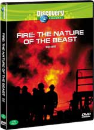 DVD]Discovery : The Nature Of The Beast / DVD]화재와 대재앙 : 디스커버리 콜렉션