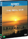 DVD]Discovery : the Real Eve / DVD]인류의 탄생 : 디스커버리 콜렉션