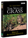 DVD]The Living Planet : The Seas os Grass / DVD]광활한 초원 - BBC다큐멘터리 시리즈