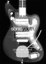 DVD]SonicYouth - The Video: 1990~2002 - Corporate Ghost / DVD]소닉 유스 - 더 비디오 : 1990~2002