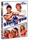 DVD]Stuck on You / DVD]붙어야 산다 SE (dts)-0805FoxPro