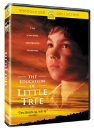 DVD]The Education of Little Tree (Sale / DVD]리틀 트리(가족의 달 행사)