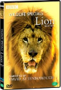 DVD]BBC Wildlfie Special : Lion / DVD]사자 : BBC다큐멘터리 시리즈