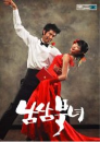 DVD]Love of South & North / DVD]남남북녀_duk2011