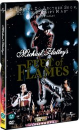 DVD]Michael Flatley : Feet of Flames / DVD]마이클 플래틀리 : 피트 오브 플레임스 (Music Sale)