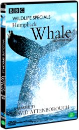 DVD]BBC Wildlife Specials - Humpback Whale / DVD]와일드라이프 스페셜 : 혹등고래 - BBC다큐멘터리 시리즈
