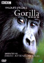 DVD]BBC Wildlife Specials - Gorilla / DVD]와일드라이프 스페셜 : 고릴라 - BBC다큐멘터리 시리즈