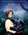 DVD]Gorillas in the Mist / DVD]정글 속의 고릴라(WB2010)