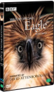 DVD]BBC Wildlfie Special : Eagle / DVD]독수리 : BBC다큐멘터리