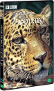 DVD]BBC Wildlife Specials - Leopard / DVD]와일드라이프 스페셜 : 표범 - BBC다큐멘터리 시리즈