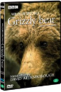 DVD]BBC Wildlfie Special : Grizzly / DVD]그리즐리 베어 : BBC다큐멘터리 시리즈