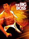 DVD]The Big Boss / DVD]당산대형 (SRE 고별세일 81선)
