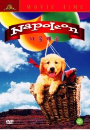 DVD]Napoleon / DVD]나폴레옹