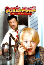 DVD]Dennis the Menace Special Edition / DVD]개구쟁이 데니스 SE