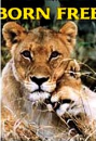 DVD]Born Free / DVD]야성의 엘자_Sony0802Aca