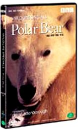 DVD]BBC Wildlife Specials - Polar Bear / DVD]와일드라이프 스페셜 : 북극곰 - BBC다큐멘터리 시리즈