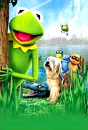 DVD]Kermit`s Swamp Years (Sale / DVD]아기 개구리 커밋 (할인)