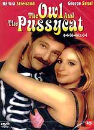 DVD]Owl And The Pussyca / DVD]올빼미와 새끼 고양이