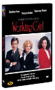 DVD]Working Girl / DVD]워킹걸